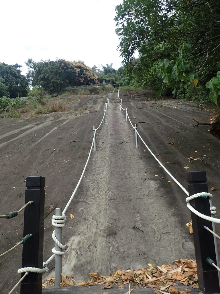 PA231658.JPG - 草嶺  茄苳步道  峭壁雄風