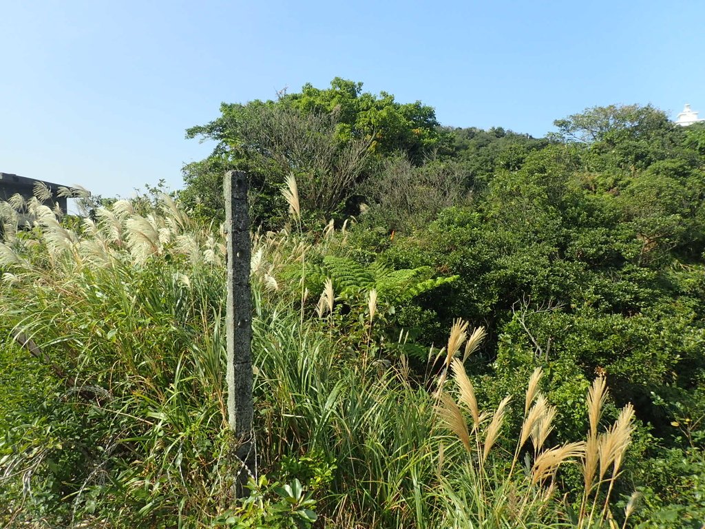 PB179577.JPG - 基隆  球子山(火號山)步道