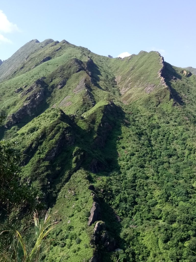 DSC_2131.JPG - 秋晴  南子吝山  登龍尾坪