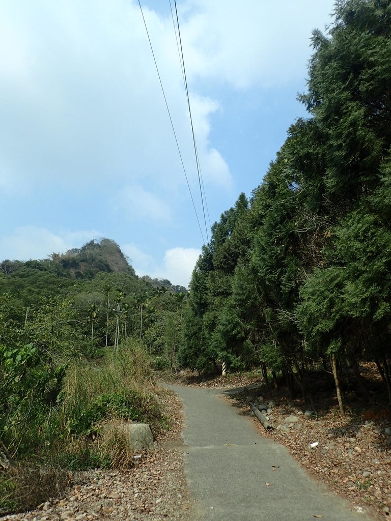 P3016119.JPG - 草屯平林  九九峰森林步道