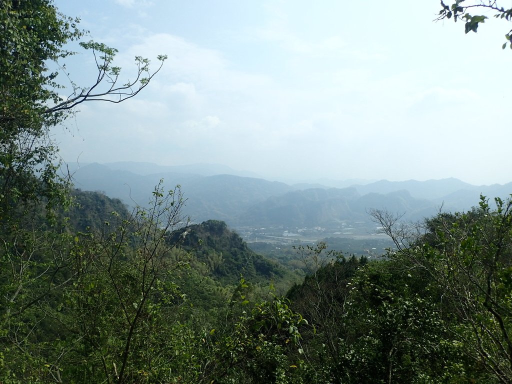 P3016053.JPG - 草屯平林  九九峰森林步道