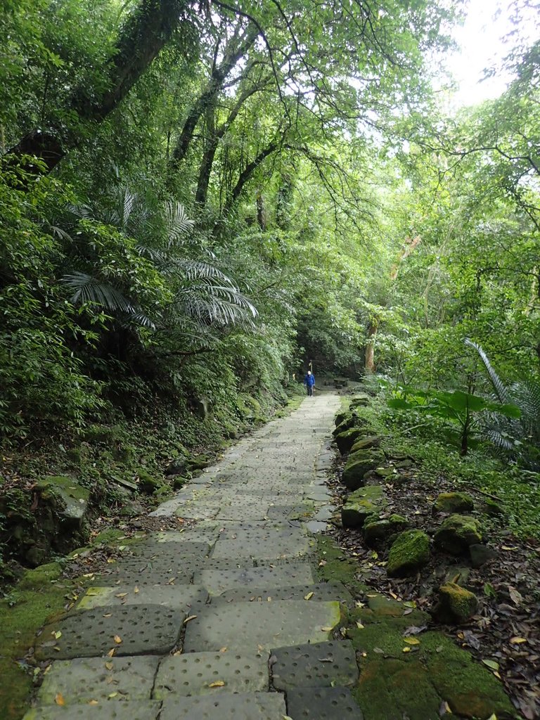 P1294519.JPG - 獅頭山  獅山古道  (01)