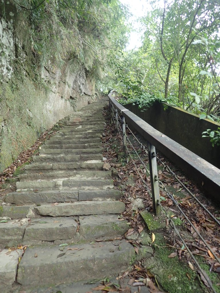 P1294492.JPG - 獅頭山  獅山古道  (01)