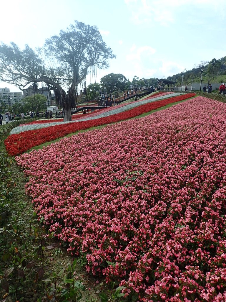 P2155447.JPG - 北投社  三層崎公園