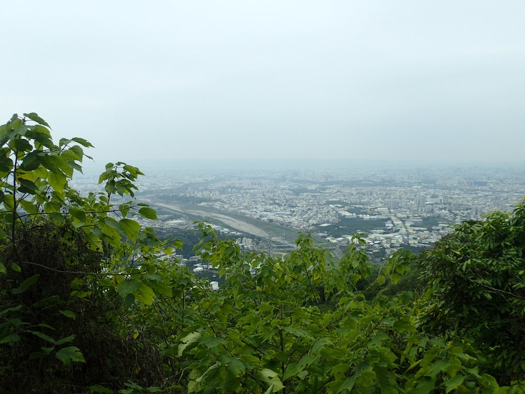 P2095052.JPG - 太平  三汀山  (望高寮)