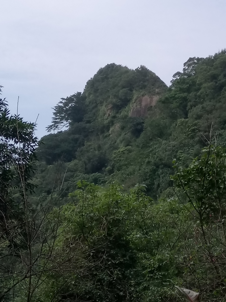 DSC_5305.JPG - 瑞芳  白象山(弘明山) 未竟