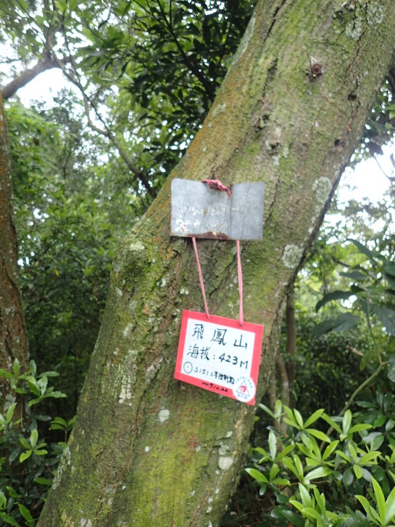 P4272129.JPG - 芎林  飛鳳山  (中坑山)