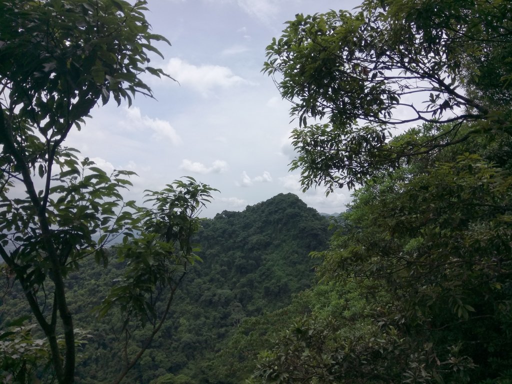 DSC_3002.JPG - 大溪  金面山登山步道