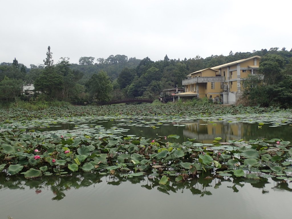 P9250267.JPG - 南庄  向天湖之  環湖步道