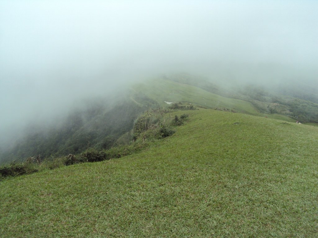 DSC07374.JPG - 再訪---  貢寮  桃源谷步道