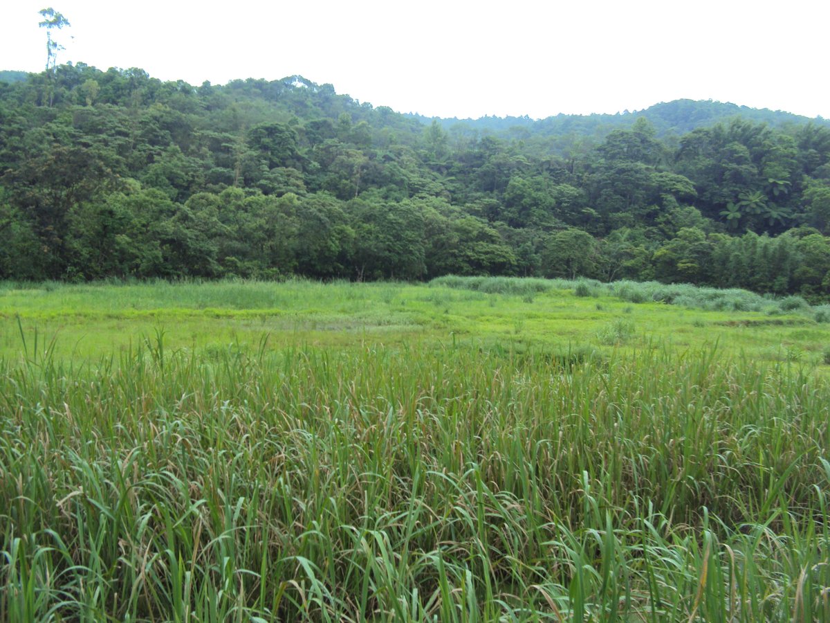 DSC07448.JPG - 雙溪  泰平村  虎豹潭