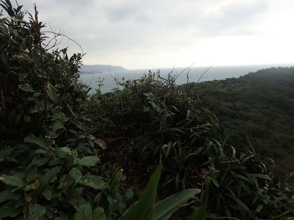 P1264019.JPG - 野柳  北八斗山稜線步道