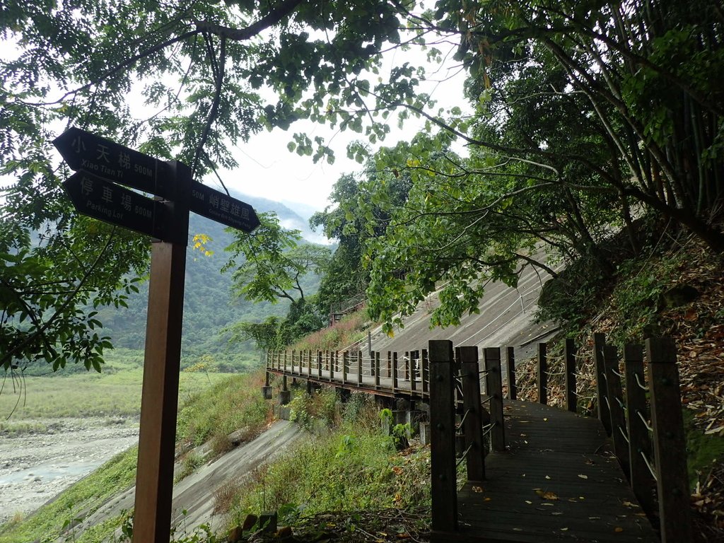 PA231659.JPG - 草嶺  茄苳步道  峭壁雄風