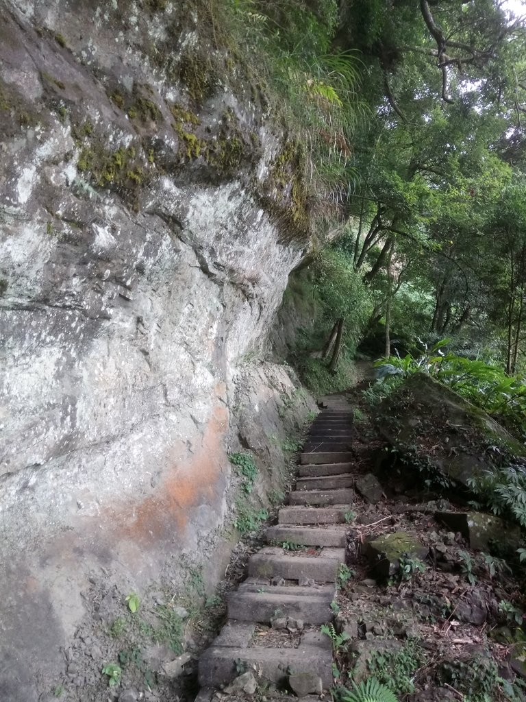 DSC_1295.JPG - 石壁山  嘉南雲峰步道