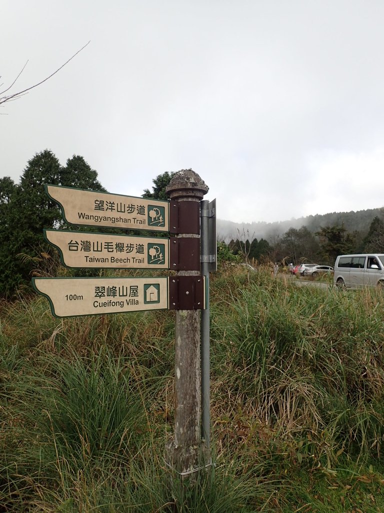 PB265368.JPG - 太平山  翠峰湖環山步道  02