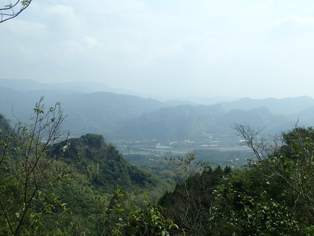 P3016054.JPG - 草屯平林  九九峰森林步道