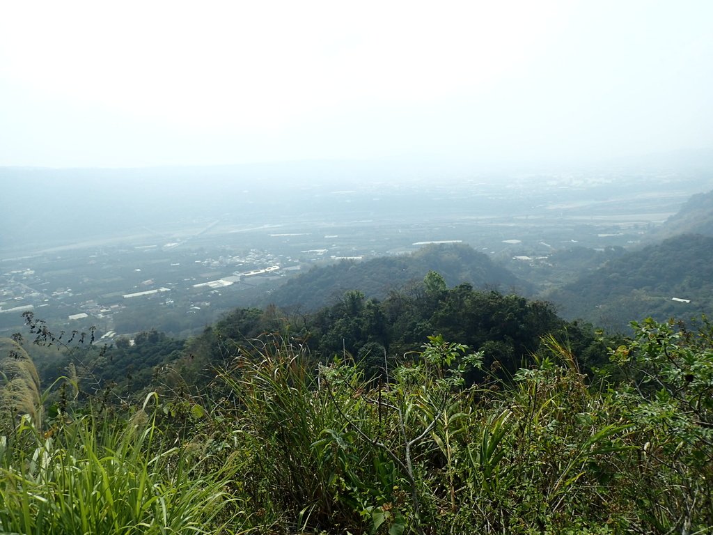 P3016100.JPG - 草屯平林  九九峰森林步道