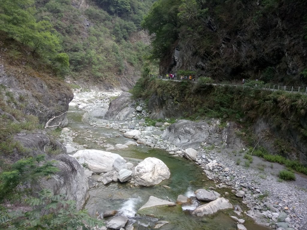 DSC_0529.JPG - 花蓮  天祥  白楊步道