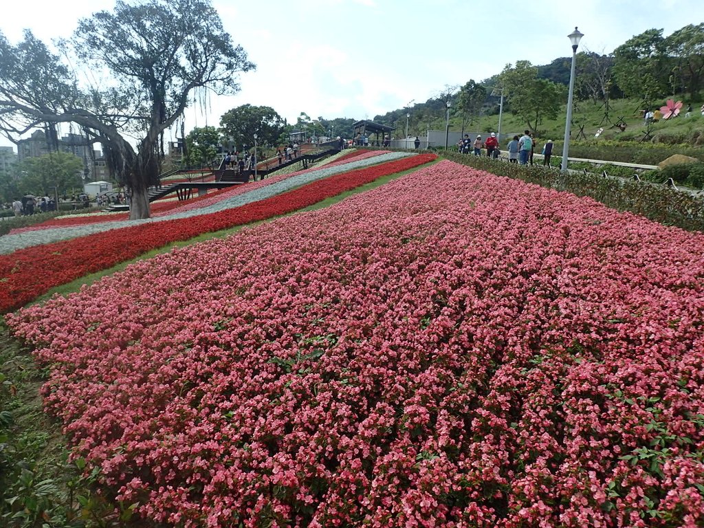 P2155448.JPG - 北投社  三層崎公園