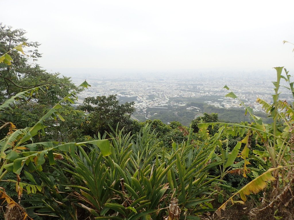 P2095059.JPG - 太平  三汀山  (望高寮)