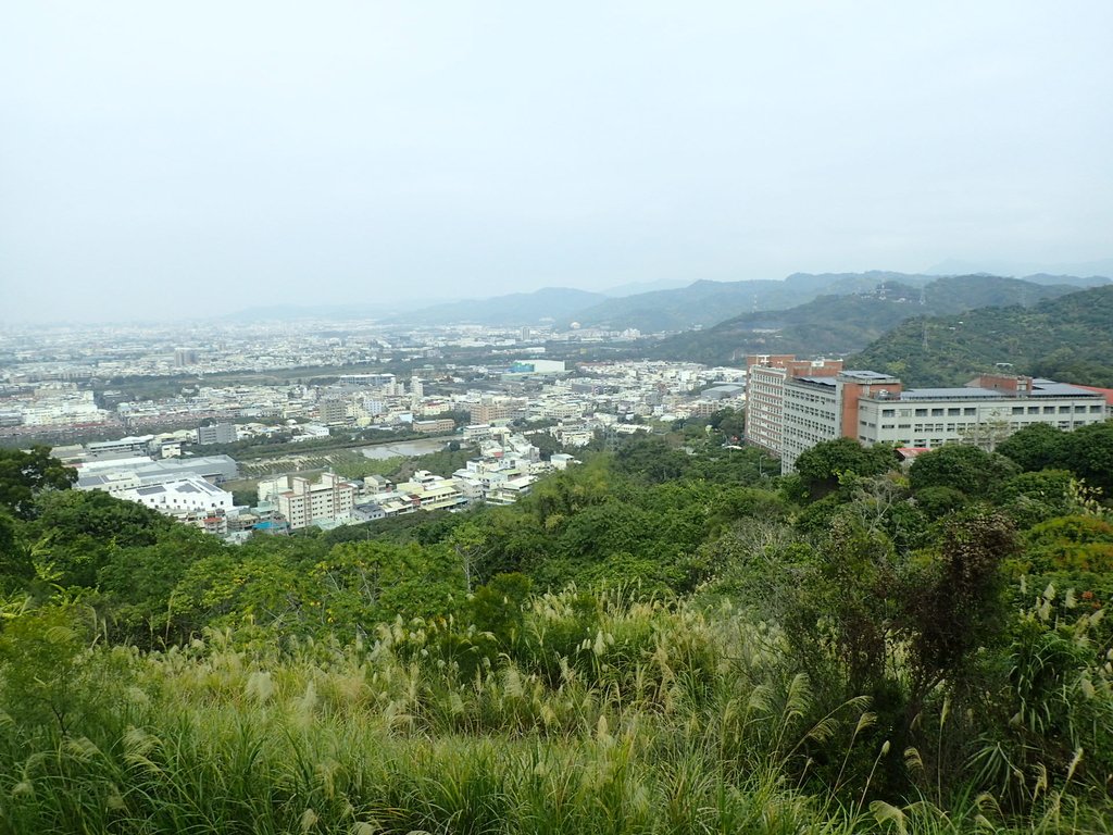 P2095069.JPG - 霧峰  阿罩霧山