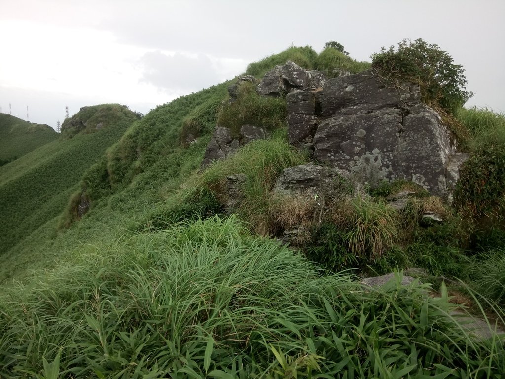 DSC_4538.JPG - 小觀音山  西峰登山步道