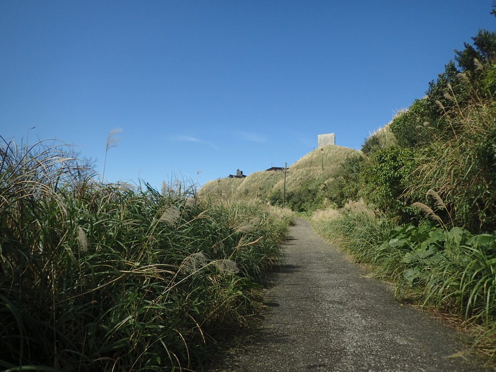 P1216559.JPG - 瑞芳  草山戰備道  (02)