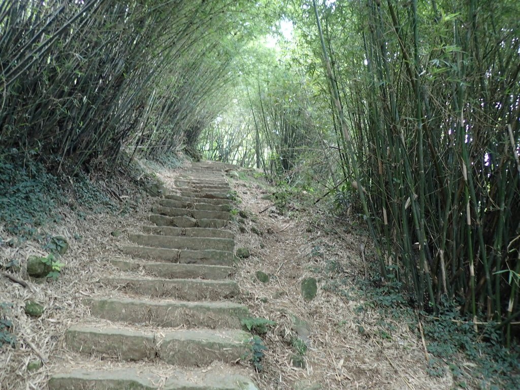 P9238264.JPG - 北投  面天山  向天湖步道