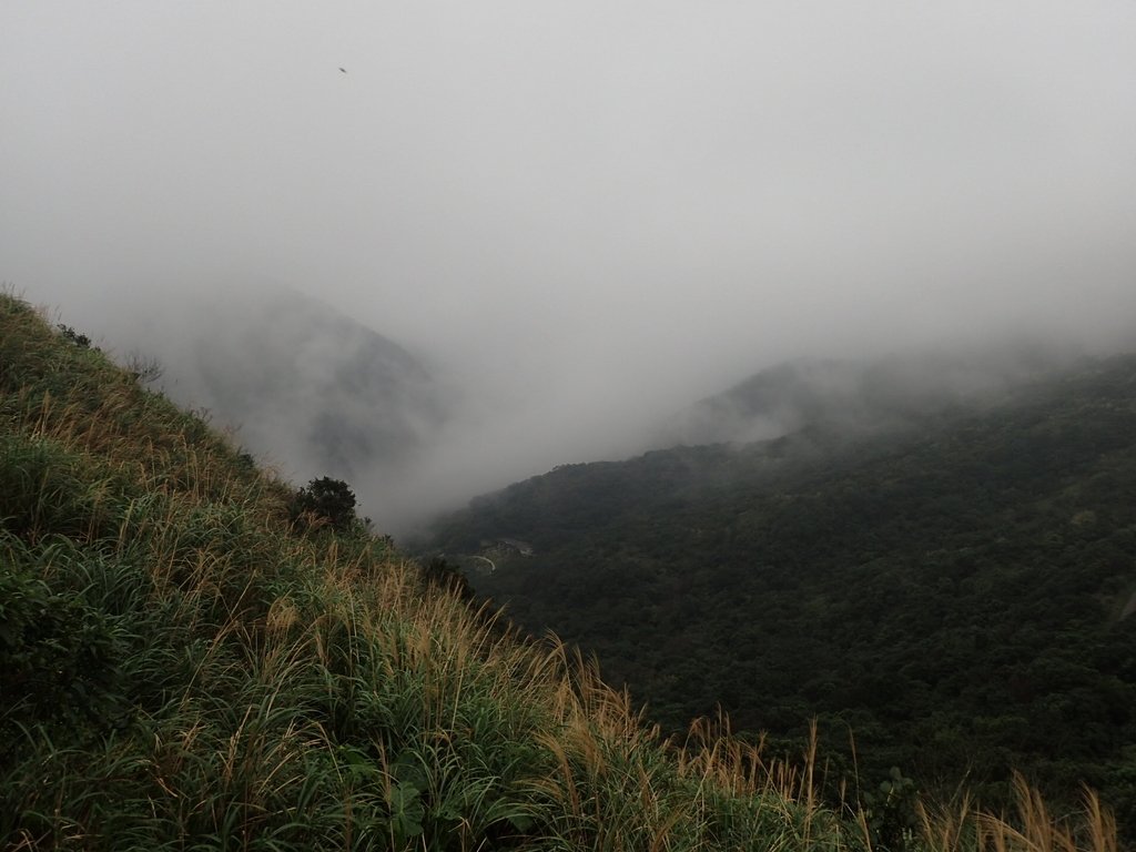 P1203567.JPG - 瑞芳  牡丹山