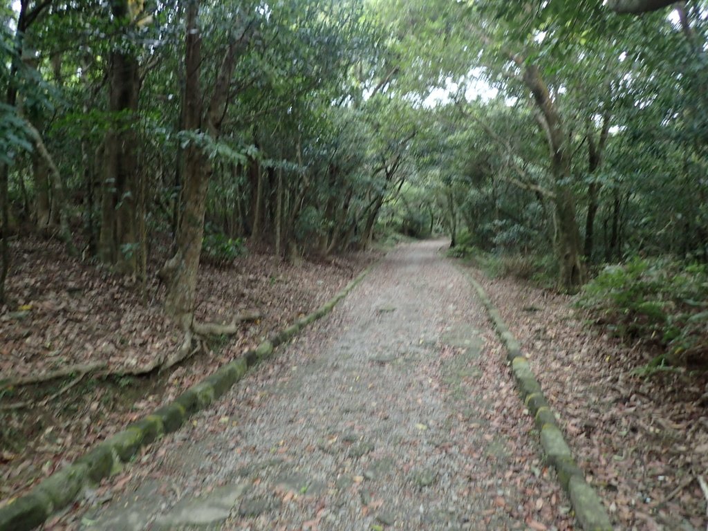 P2288748.JPG - 內湖  大崙尾山