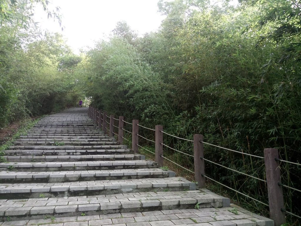 DSC_8928.JPG - 公館  墨硯山步道