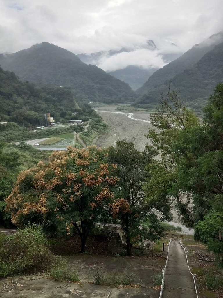 DSC_1199.JPG - 草嶺  茄苳步道  峭壁雄風