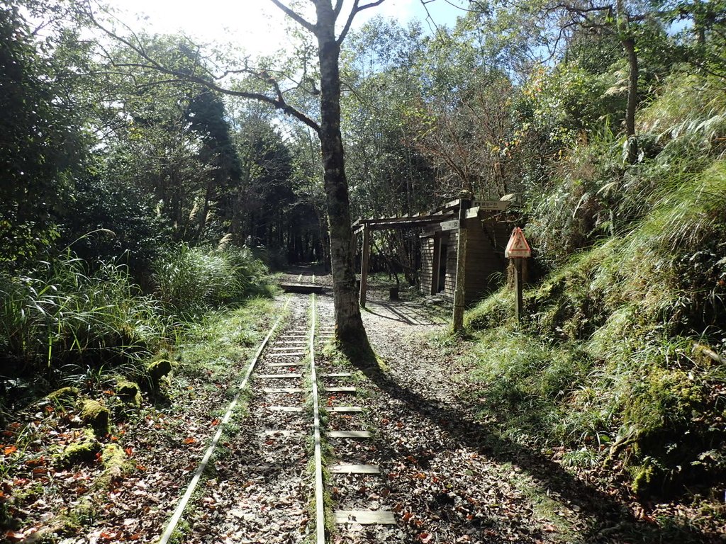 PB265480.JPG - 太平山  翠峰湖環山步道  02