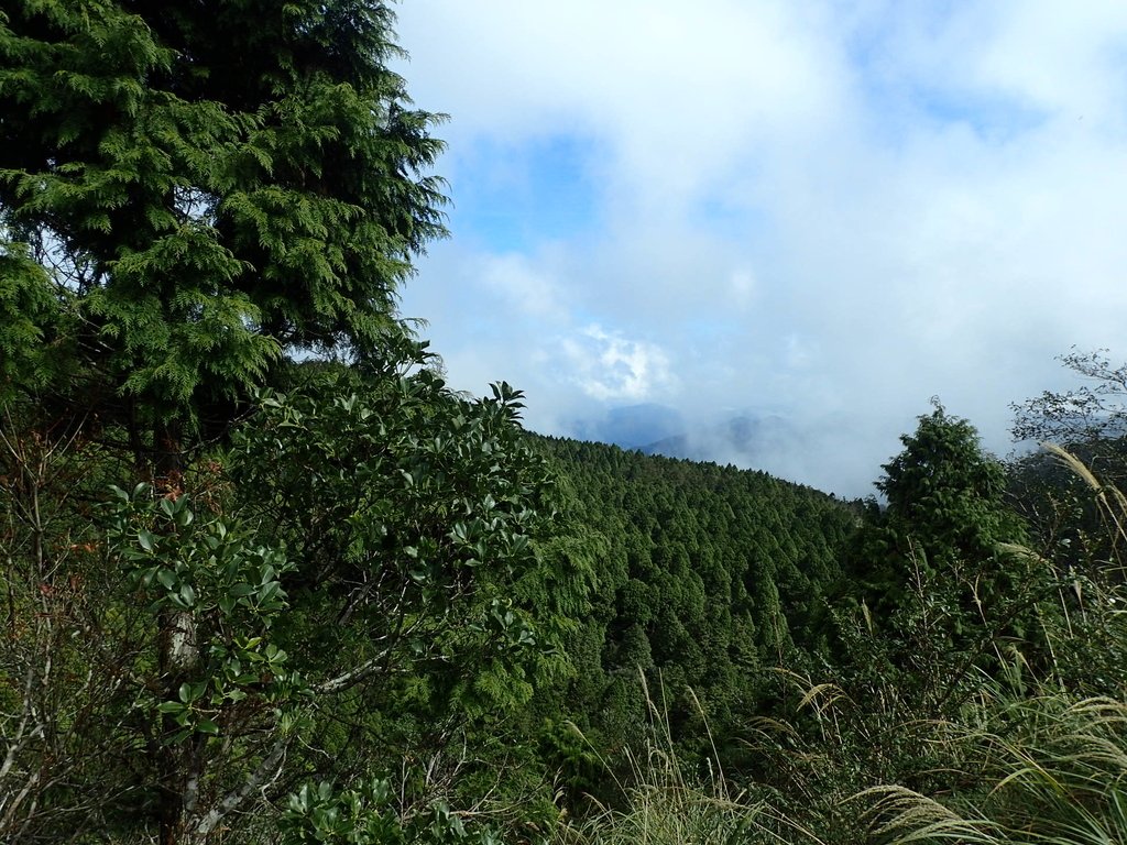 PB265390.JPG - 太平山  翠峰湖環山步道  02