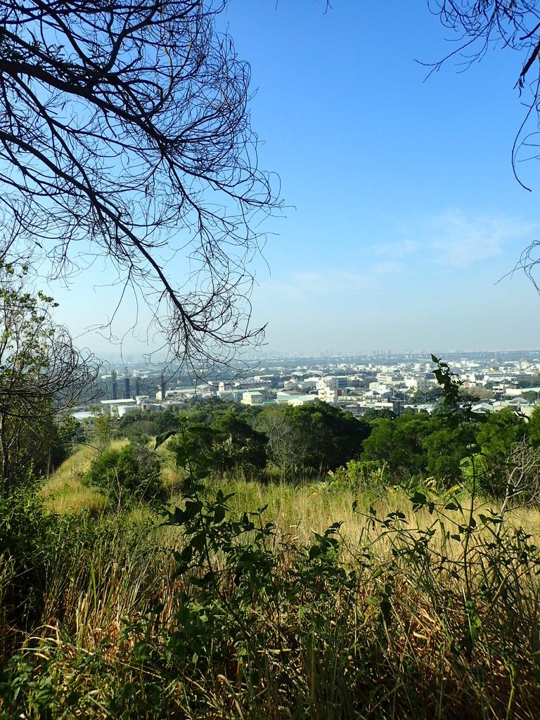 PA282003.JPG - 烏日  學田山登山步道