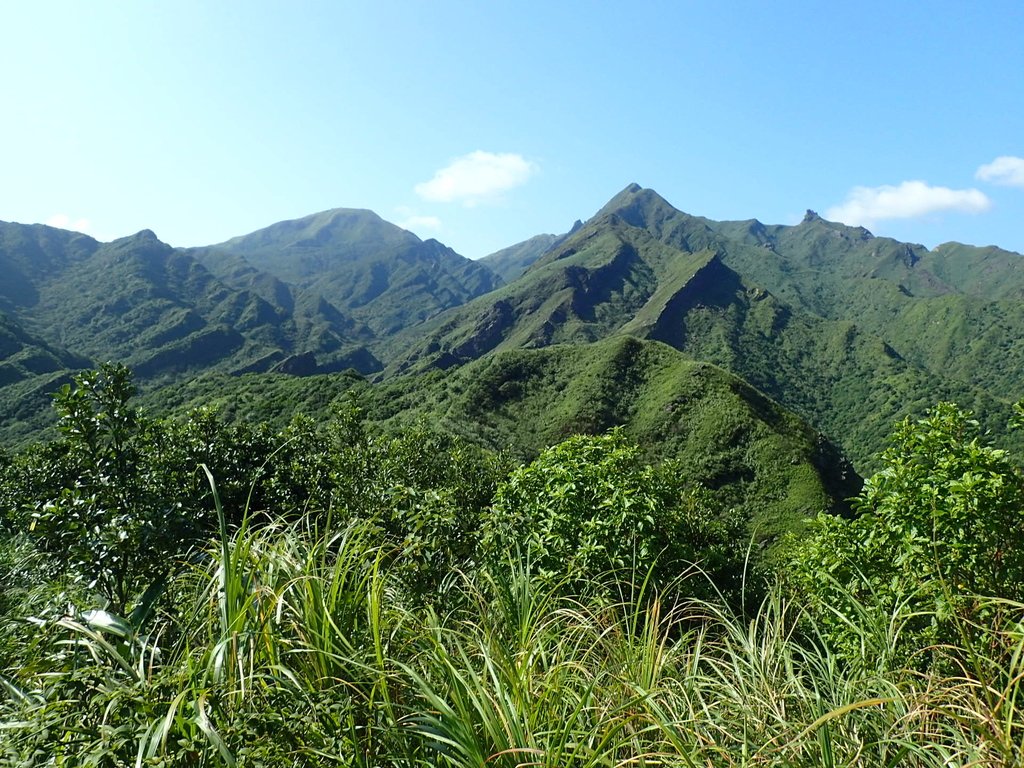 PA104810.JPG - 秋晴  南子吝山  登龍尾坪