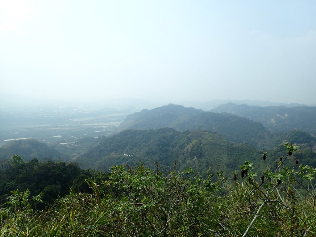 P3016102.JPG - 草屯平林  九九峰森林步道