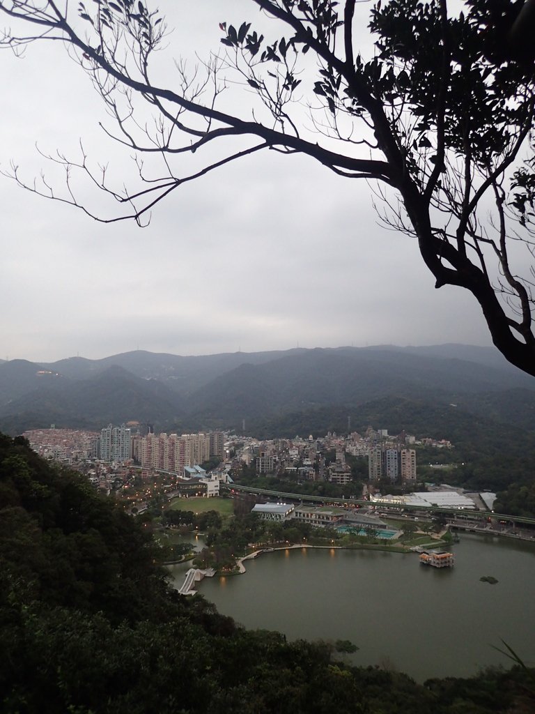 P3116953.JPG - 內湖  白鷺鷥山親山步道