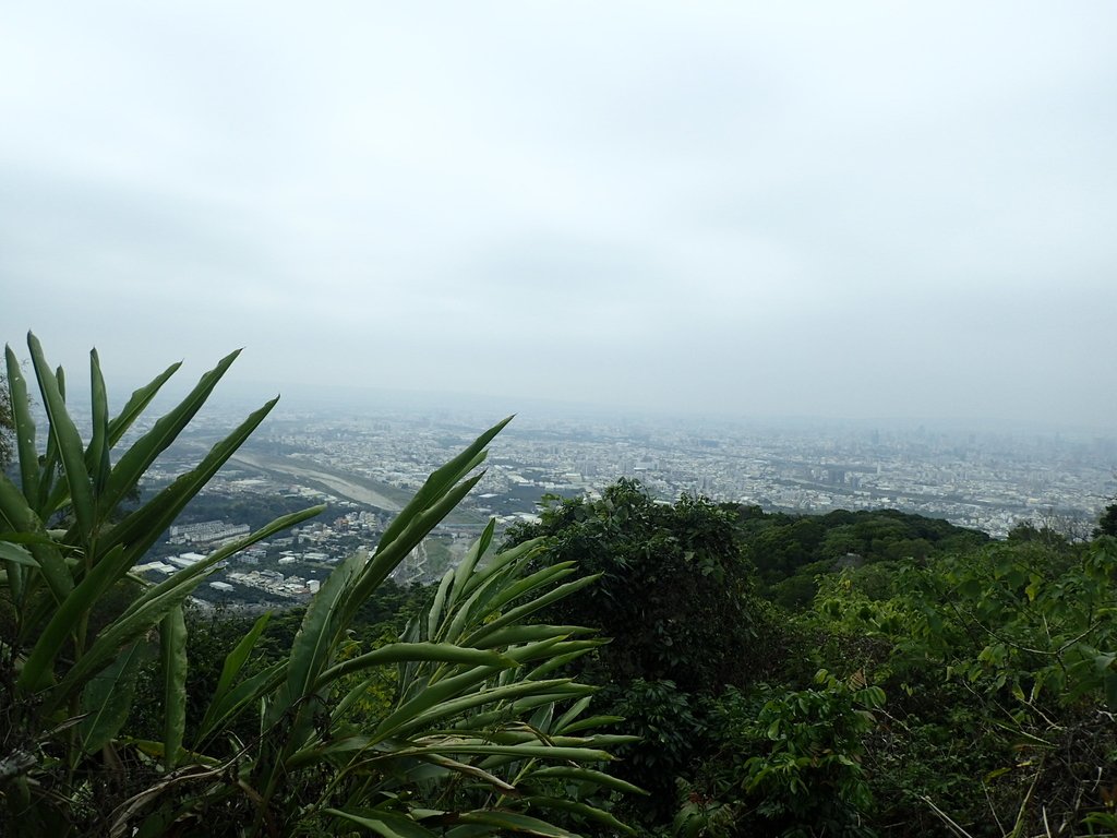 P2095065.JPG - 太平  三汀山  (望高寮)