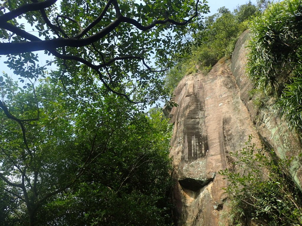 P2145345.JPG - 瑞芳  白象山(弘明山) 未竟