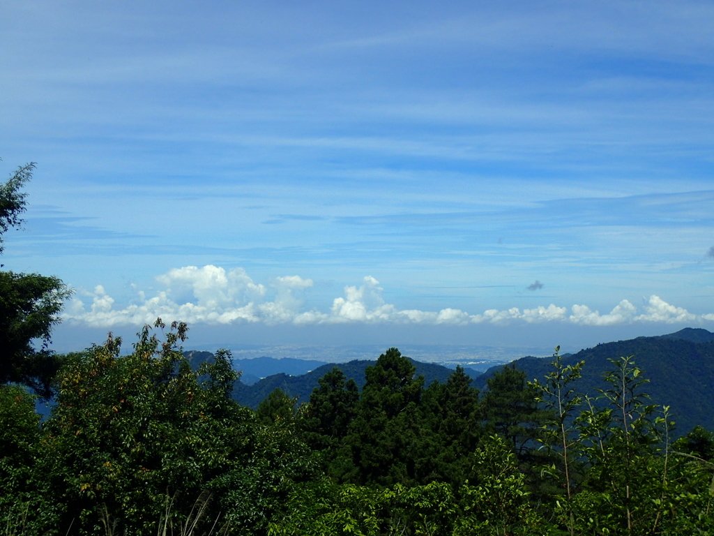 P6054071.JPG - 谷關七雄之  馬崙山  (上)