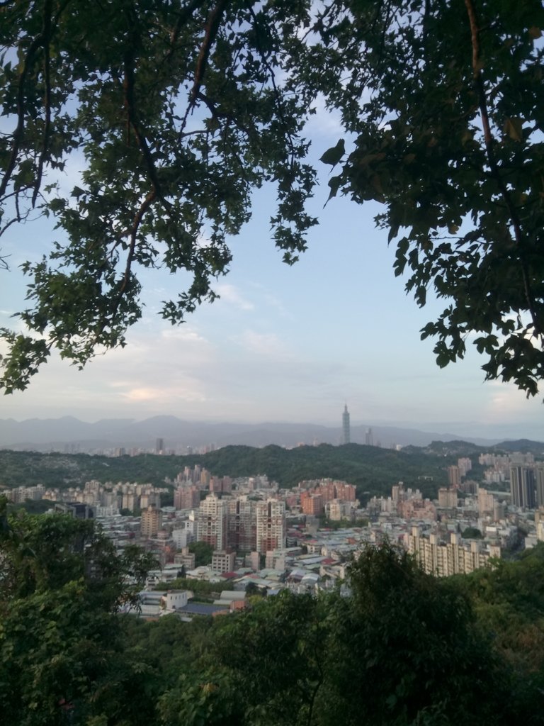 DSC_2702.JPG - 景美  仙跡岩親山步道