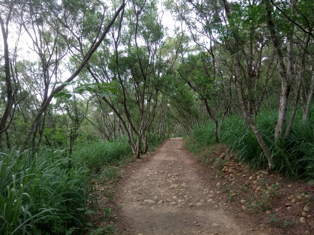 DSC_3979.JPG - 大肚  萬里長城登山步道