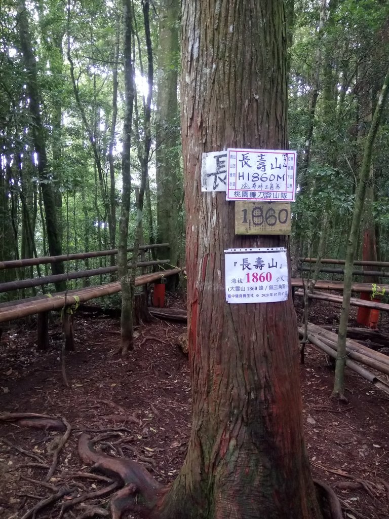 DSC_5248.JPG - 台中和平  長壽山登山步道  (下)