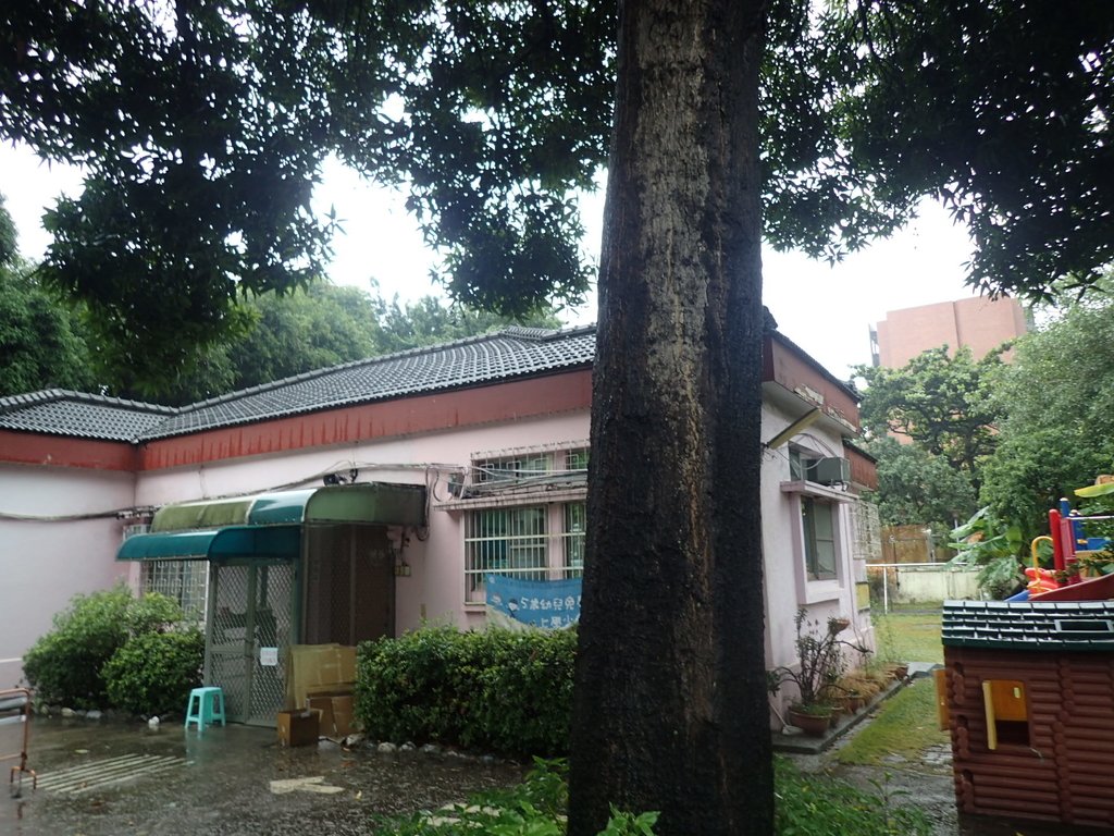 PB074441.JPG - 台南  成功大學  校園掠影