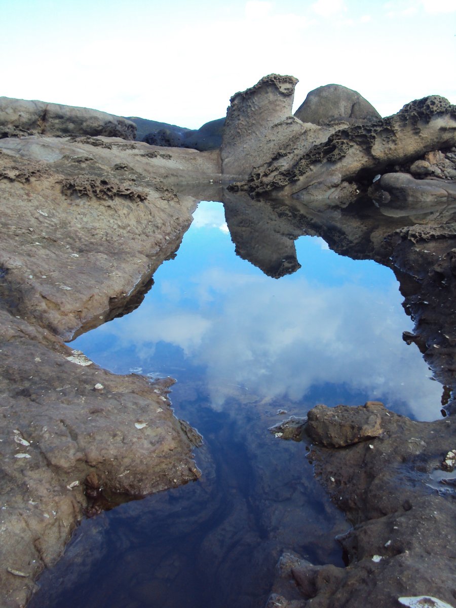 DSC06519.JPG - 瑞芳  水湳洞海岸之美