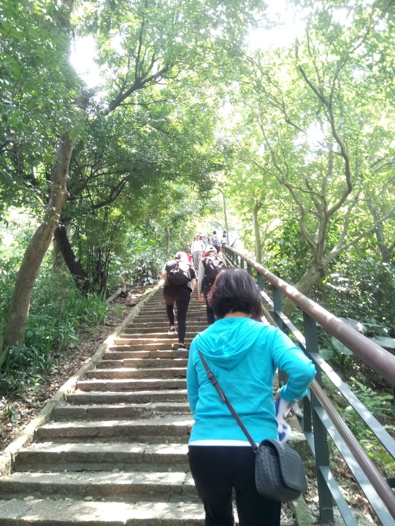 DSC_0595.JPG - 夏日  小登象山