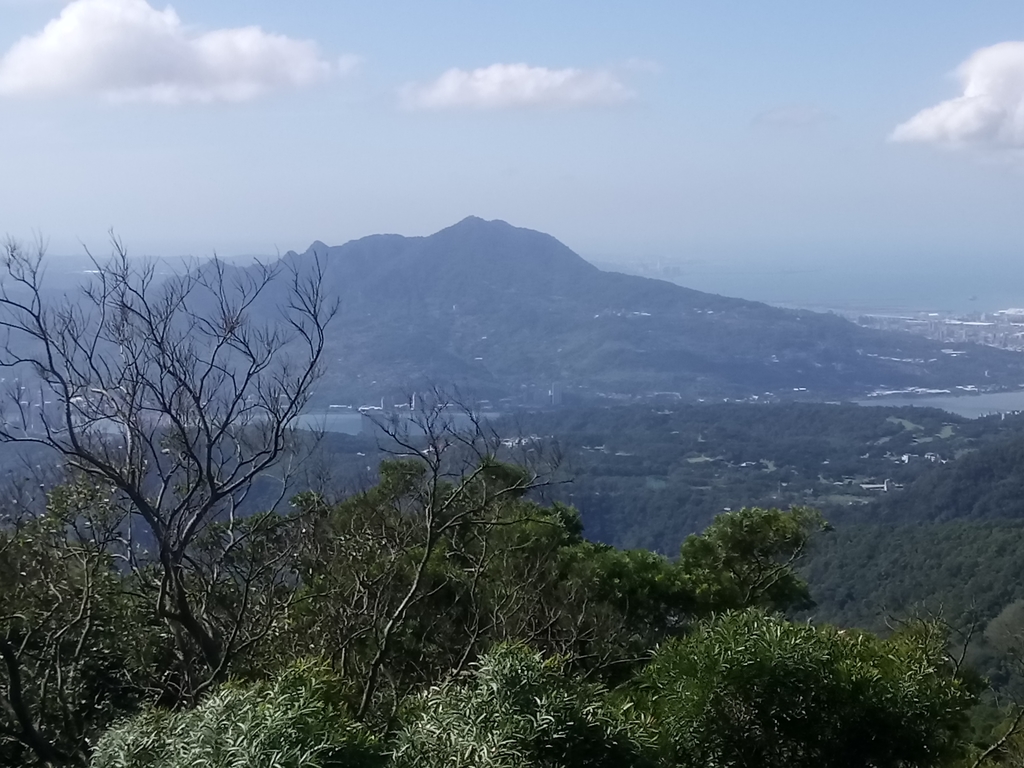 DSC_8772.JPG - 北投  中正山登山步道 01