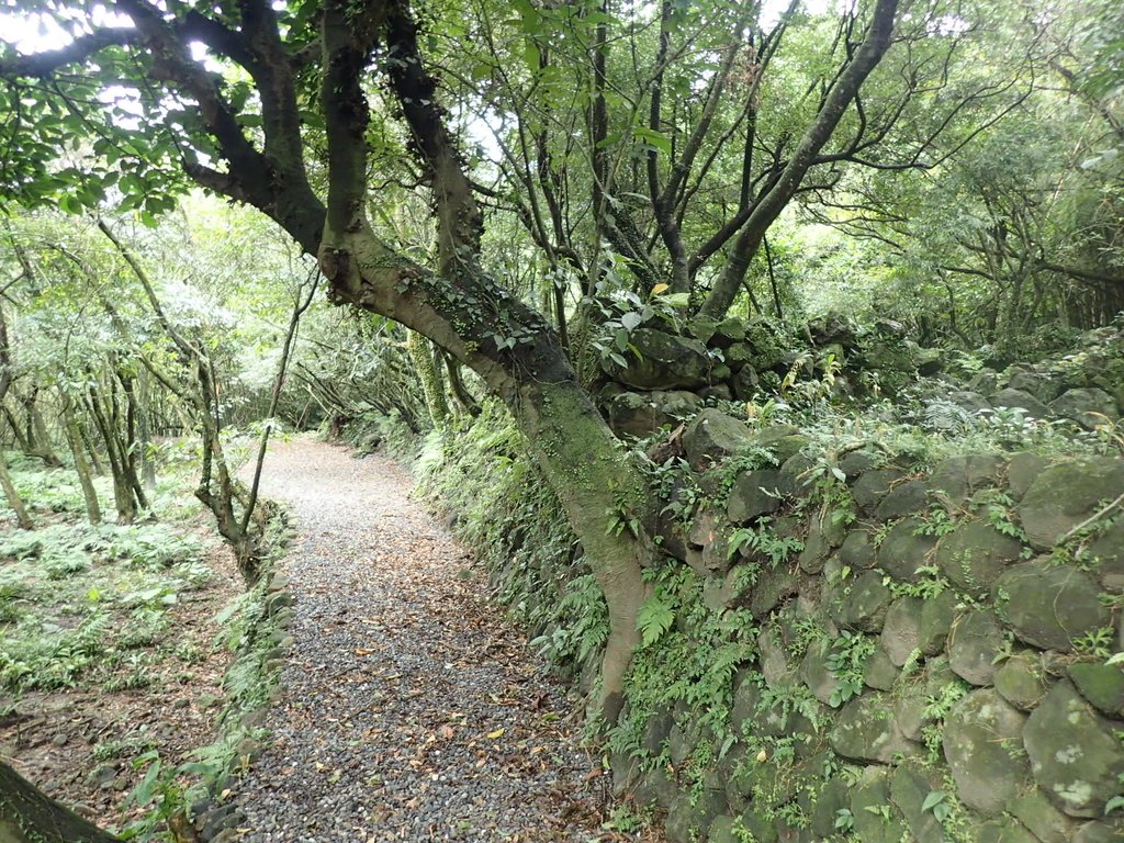 P1274429.JPG - 瑞芳  燦光寮古道初探