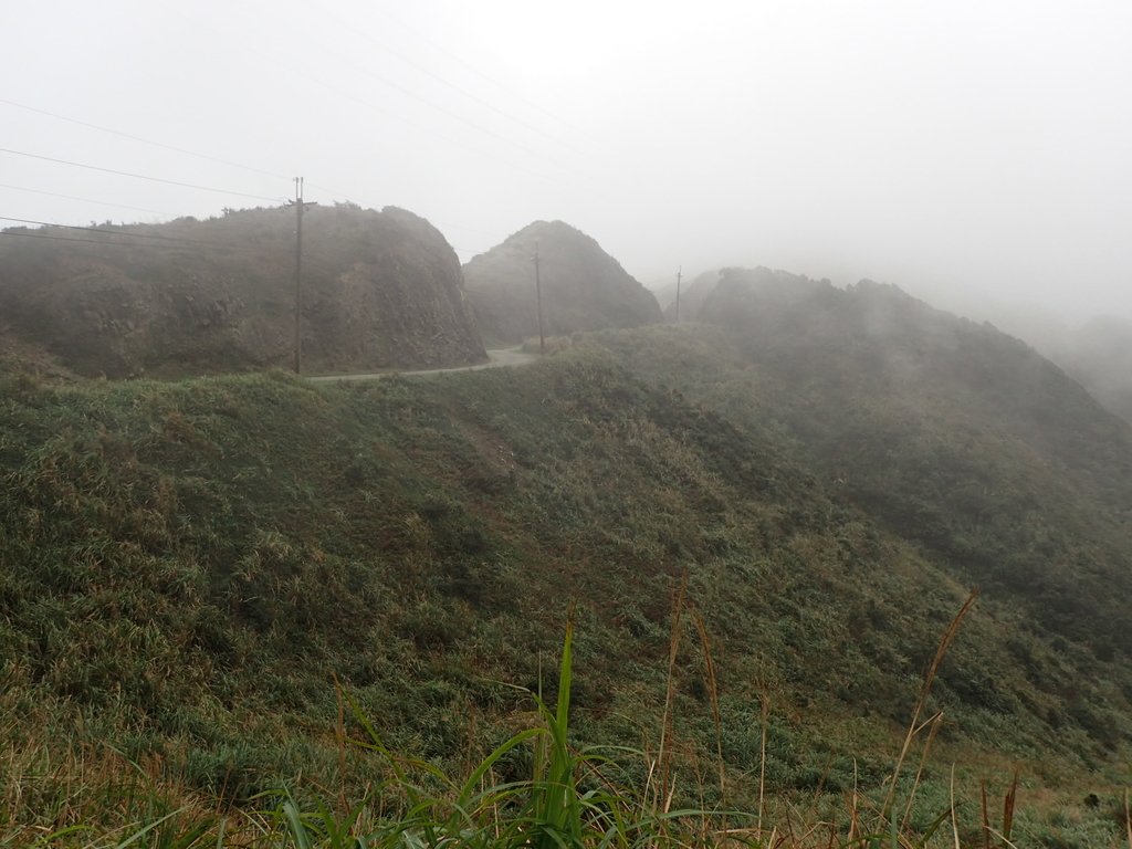 P1203579.JPG - 瑞芳  牡丹山